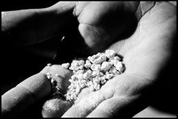 Anti-narcotic activities along the North Eastern Border of the Islamic Republic of Iran with Afghanistan