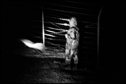 Anti-narcotic activities along the North Eastern Border of the Islamic Republic of Iran with Afghanistan